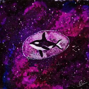 数据项目小龟导航
