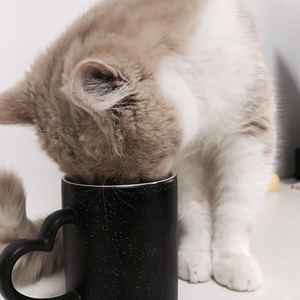 数据项目小龟导航
