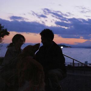 数据项目小龟导航
