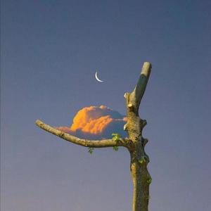 数据项目小龟导航
