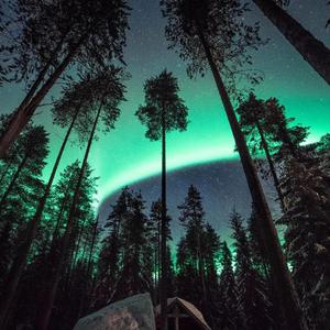 数据项目小龟导航
