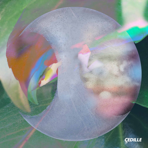 数据项目小龟导航
